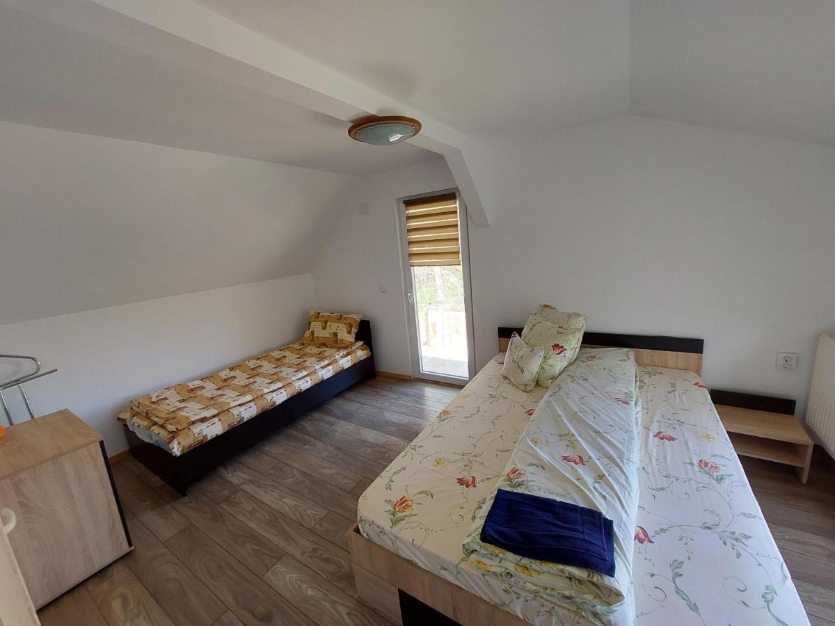 Cabana Casa Lu'Baciu Arpaşu de Sus Eksteriør billede