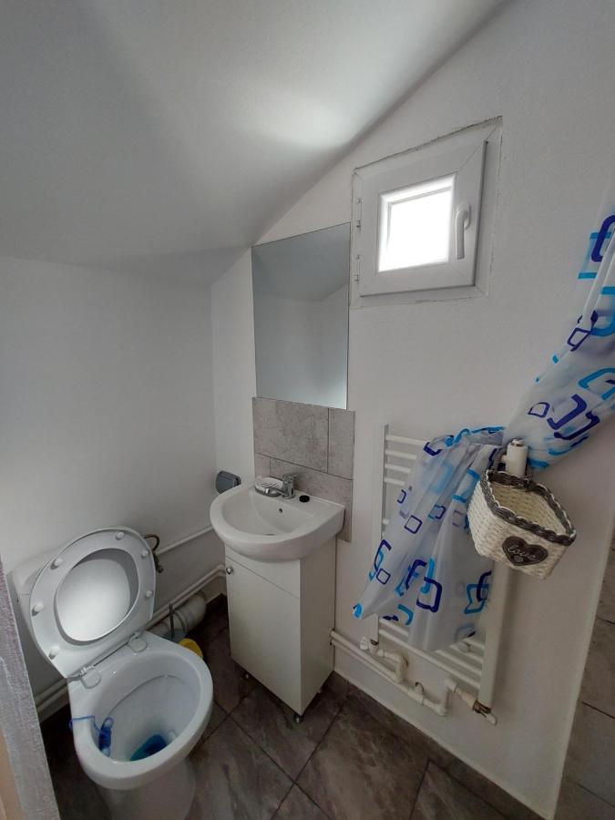 Cabana Casa Lu'Baciu Arpaşu de Sus Eksteriør billede